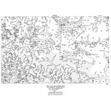 Mapa form geomorfologicznych 531.34
