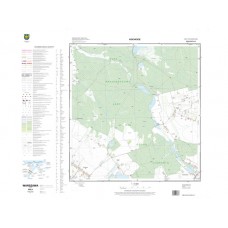 Mapa topograficzna M-34-38-C-d-2 (SOK)