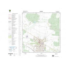 Mapa topograficzna M-34-50-B-a-2 (SOK)