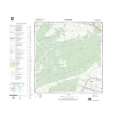 Mapa topograficzna M-34-51-A-d-3 (SOK)