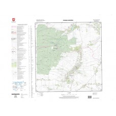 Mapa topograficzna M-34-52-D-a-3 (SOK)