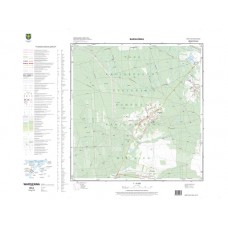 Mapa topograficzna M-34-61-B-d-2 (SOK)