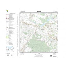 Mapa topograficzna M-34-61-D-c-2 (SOK)