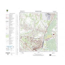 Mapa topograficzna M-34-61-D-d-4 (SOK)